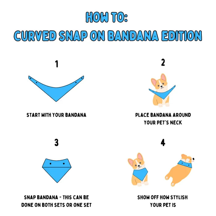 Balloon Adventure - Bandana
