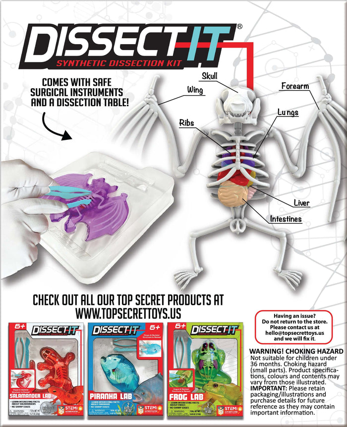 Dissect It Bat Lab
