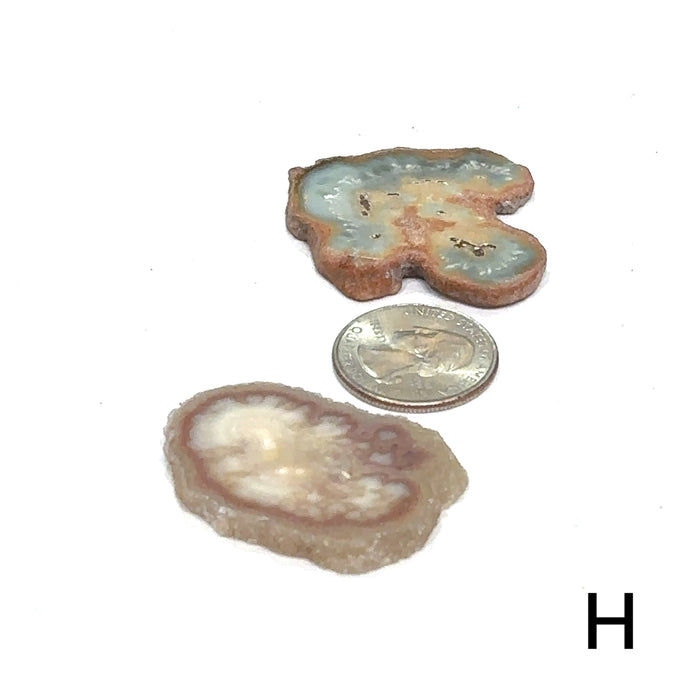 One Agate Slice (of group H) gemstone