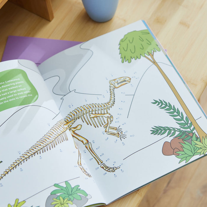 The Bumper Dinosaur Activity Book