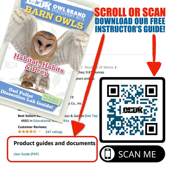100 Small Pellet Pack + Tools + Guide: PDF download for owl pellets and dissection guide from Owl Brand Discovery Kits