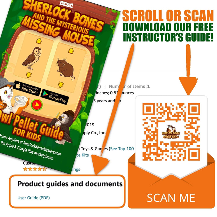 60 Small Pellet Pack + Tools + Guide with owl pellet guide and instructor's resources for wildlife education.