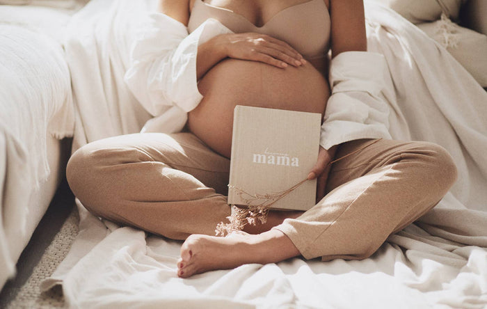 BECOMING MAMA PREGNANCY JOURNAL