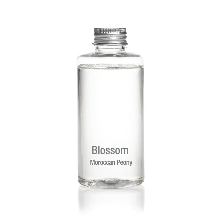 Moroccan Peony Refill - St of 6