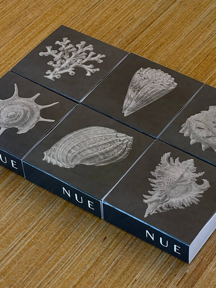 Cone Shell Matches