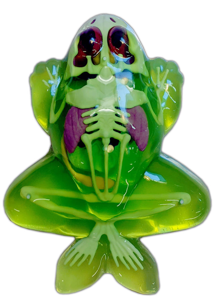 Dissect It Frog Lab