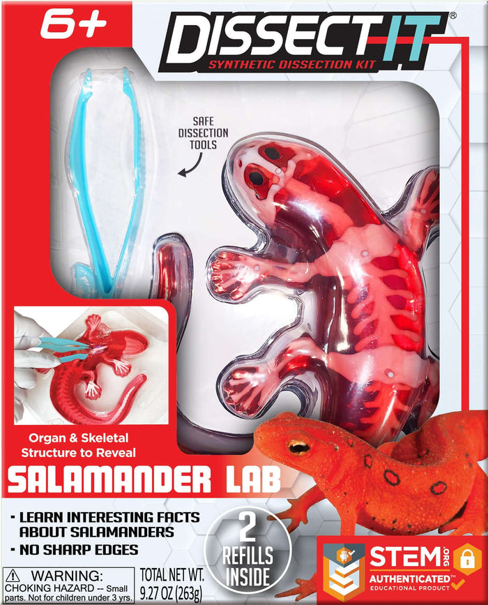 Dissect It Salamander Lab - 2 Refills!