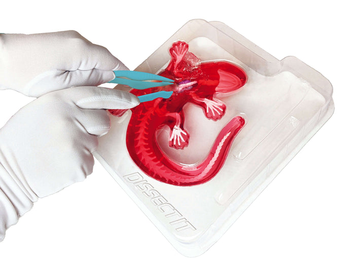 Dissect It Salamander Lab - 2 Refills!