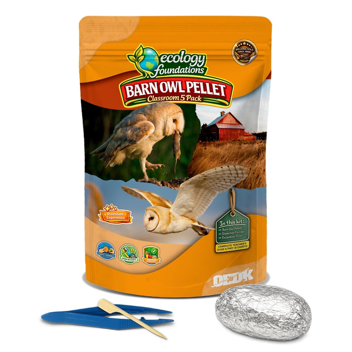 Ecology Foundations Premium Classroom Essentials  for Teaching 5 Students