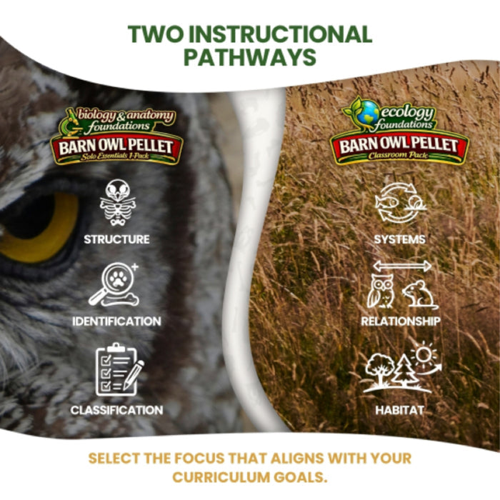 Ecology Foundations Premium Classroom Essentials  for Teaching 5 Students