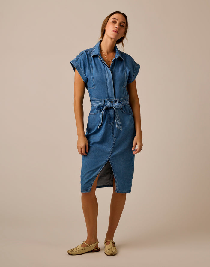 Franny Lightweight Denim Dress: Magnolia
