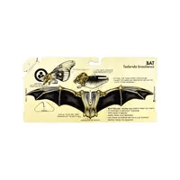 Free Tailed Bat