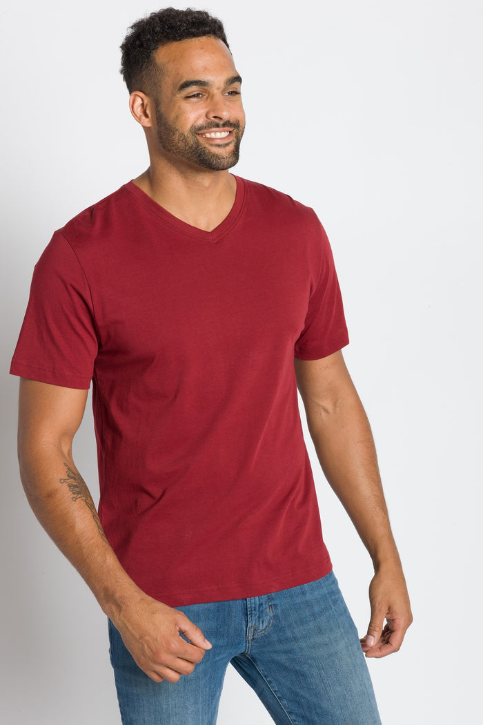 Jamison | Men's Anti-Stain V-neck Tee