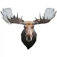 Madd Capp 700 Piece Puzzle: I am Moose