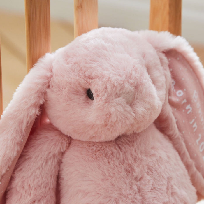 Personalised Born In 2026 Pink Bunny Soft Toy