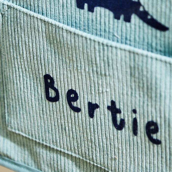 Personalised Dinosaur Sage Storage Cube