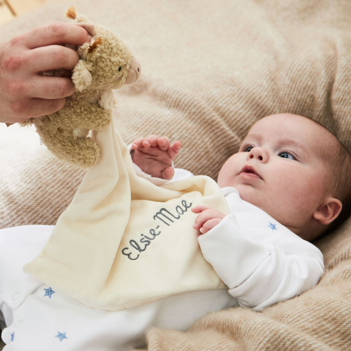 Personalised Giraffe Comforter
