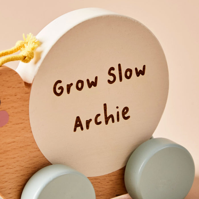 Personalised Just Bee Kids Wooden Pull-Along Snail FSC®
