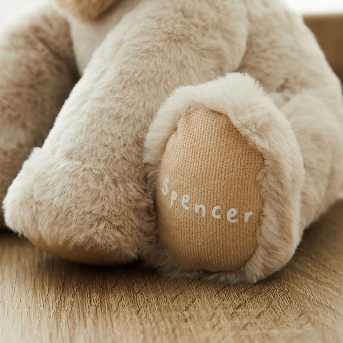 Personalised Lion Plush Toy