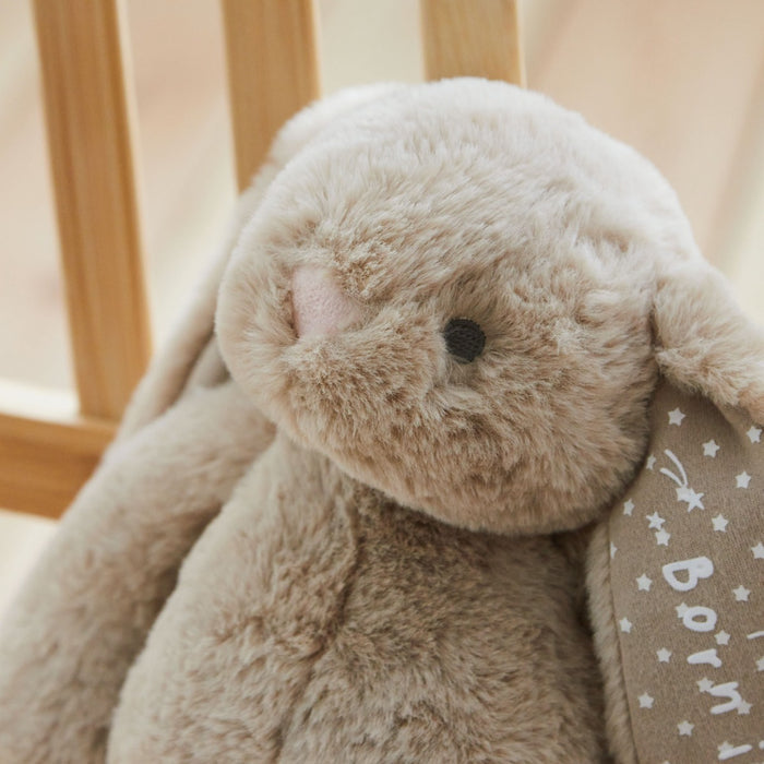 Personalised Oatmeal Born In 2026 Bunny