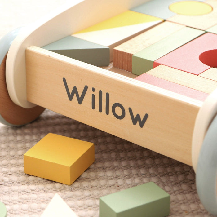 Personalised Push-Along Activity Walker With Blocks
