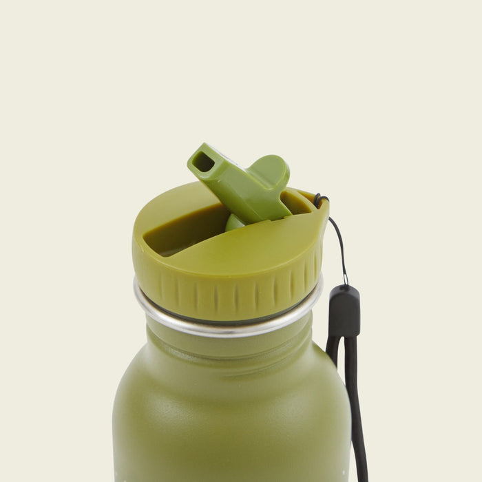 Personalised Trixie Green Dinosaur 350ml Water Bottle