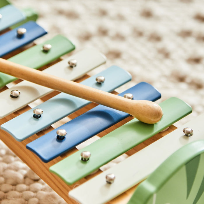 Personalised Wooden Dinosaur Xylophone FSC®