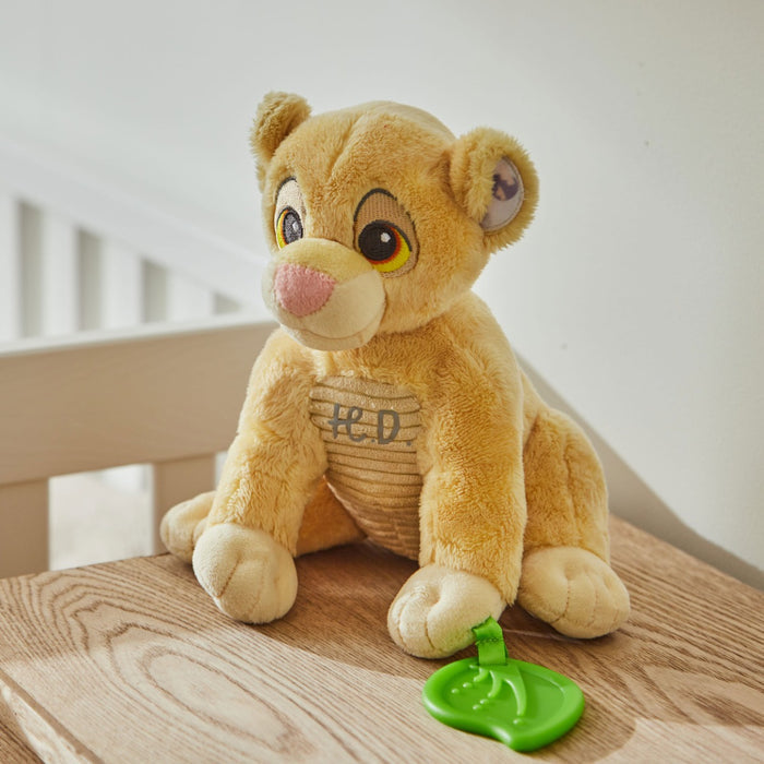 Rainbow Designs Personalised Simba Activity Toy