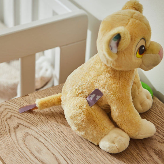Rainbow Designs Personalised Simba Activity Toy