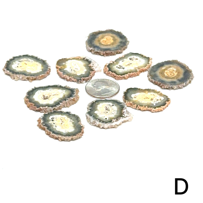 One Agate Slice (of group D) gemstone