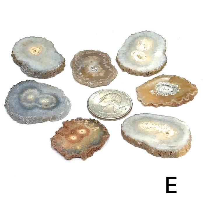 One Agate Slice (of group E) gemstone