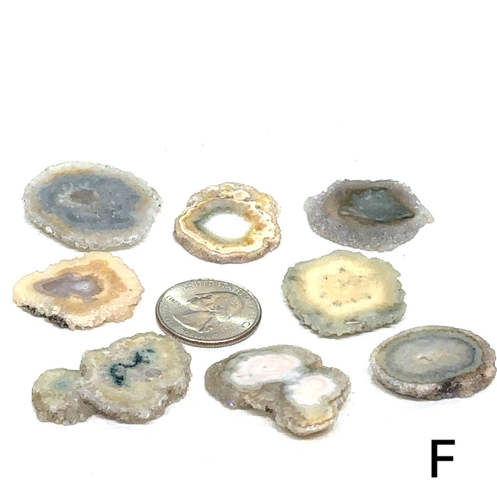 One Agate Slice (of group F) gemstone