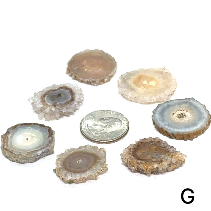 One Agate Slice (of group G) gemstone
