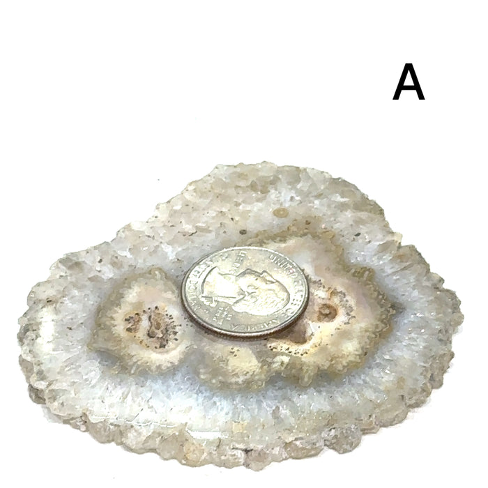 Ethically sourced raw and polished agate gemstone slice with natural patterns #A front view with quarter on the agate
