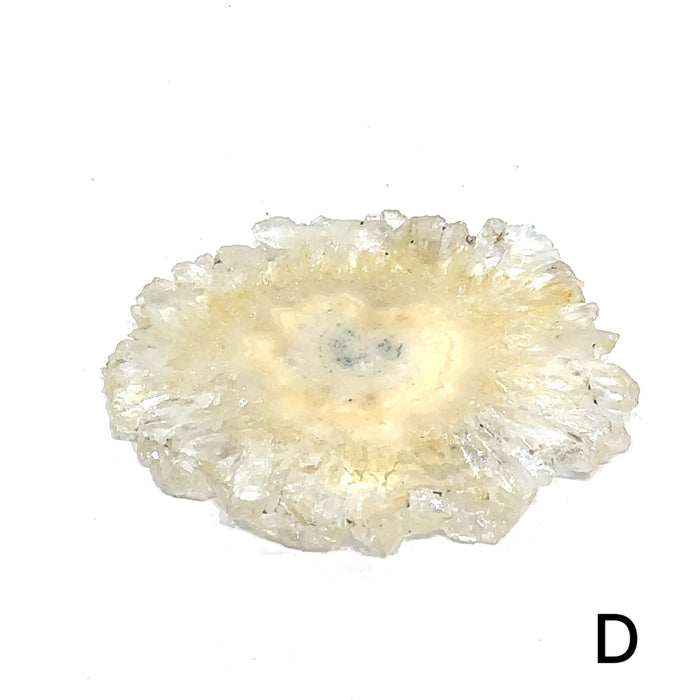 One Agate Slice (D) gemstone