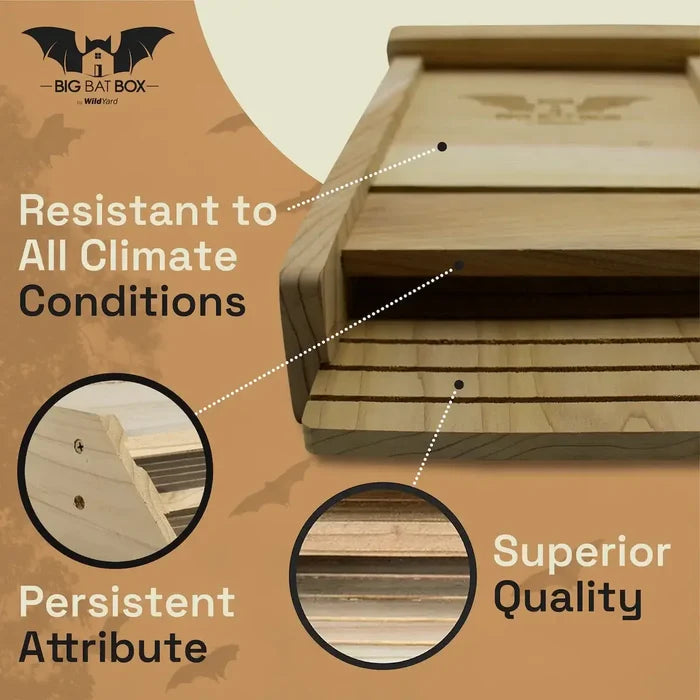 Single Chamber Bat House (Includes Shipping) features climate resistance and superior quality for bats.
