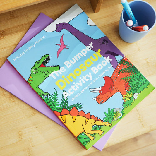 The Bumper Dinosaur Activity Book