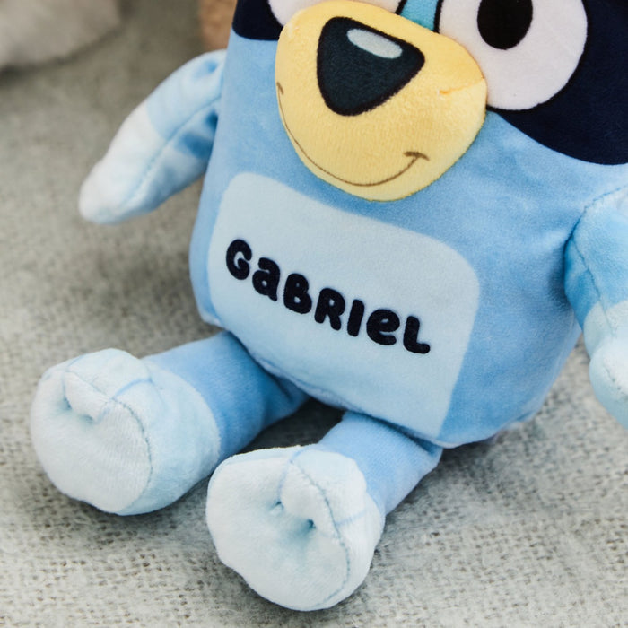 TY Personalised Bluey Small Soft Toy
