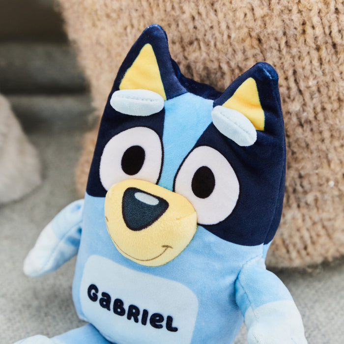 TY Personalised Bluey Small Soft Toy