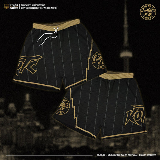 "We The North" Raptors Mesh Shorts - Black