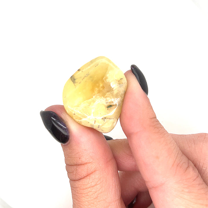 A collection of Yellow Opal tumbled gemstones displayed in a models finger tips on a white background, front overview.